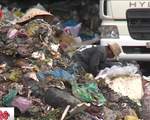 TP.HCM: Người dân khốn khổ sống cạnh bô rác tạm gần 20 năm