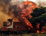 Cháy rừng dữ dội ở Hy Lạp: Số người chết lên đến 50 người