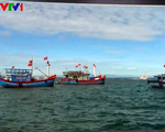 Không phát hiện tàu cá Việt Nam đánh bắt trái phép tại Australia