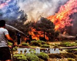 Các vụ cháy rừng tại Hy Lạp có thể là hành động phá hoại
