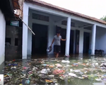 “Biển rác” bủa vây người dân ngoại thành Hà Nội sau mưa lũ