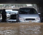 Nguyên tắc lái xe qua vùng nước ngập mùa mưa lũ