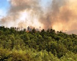 Cháy gần 10ha rừng thông ở Thanh Hóa