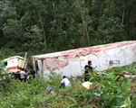 Quảng Bình: Xe container lao xuống vực sâu, 2 người bị thương