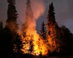 Canada sơ tán gần 19.000 dân do cháy rừng