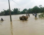 Vùng cao Nghệ An bị chia cắt do mưa lũ