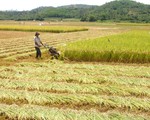 Phú Yên: Nguồn lực đầu tư vào lĩnh vực nông nghiệp, nông thôn tăng 2,4 lần