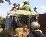 Khánh Hòa: Lâm tặc tấn công kiểm lâm