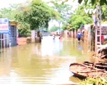 Các hộ dân ở huyện Chương Mỹ, Hà Nội dọn dẹp nhà cửa sau khi nước rút