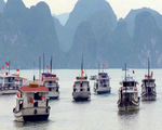 Quảng Ninh đình chỉ hoạt động 20 tàu du lịch trên vịnh Hạ Long