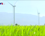 Ninh Thuận xử lý các dự án điện gió chậm tiến độ