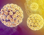 Những điều chưa biết về virus HPV