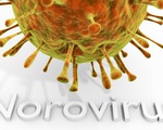 Bùng phát norovirus khiến 600 học sinh phải nghỉ học tại Mỹ