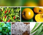 Hàng nông sản Việt Nam được chào bán trên Amazon với giá cao
