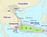 Các tỉnh, thành phố từ Đà Nẵng đến Kiên Giang chủ động ứng phó áp thấp nhiệt đới