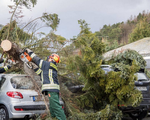 Giao thông ở nhiều nước tê liệt do bão Friederike