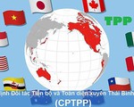 11 nước sẽ ký Hiệp định CPTPP vào tháng 3/2018