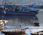 Nỗ lực hạn chế ô nhiễm môi trường tại cảng cá lớn nhất miền Trung