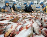 Saudi Arabia tạm dừng nhập khẩu thủy sản Việt Nam