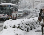 Tuyết rơi dày đặc ảnh hưởng tới người dân Tokyo, Nhật Bản