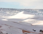 Tuyết rơi dày bao phủ sa mạc Sahara