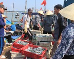 Không để EU rút “thẻ đỏ” với thủy sản Việt Nam