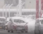 Giao thông Nhật Bản rối loạn do tuyết rơi dày