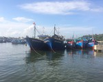 Bình Định: Ngư dân chưa đạt được thỏa thuận đền bù 'tàu cá 67'