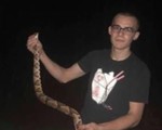 Thiếu niên bị phạt vì nuôi 10 con rắn độc làm... thú cưng