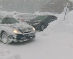 Mỹ: Bão tuyết, mưa lớn khiến ít nhất 5 người thiệt mạng