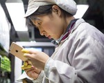 Foxconn sa thải 50.000 công nhân lắp ráp iPhone