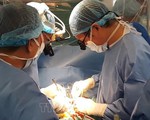 Thừa Thiên Huế thực hiện thành công ca ghép tim xuyên Việt lần thứ 3