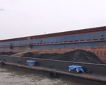 Bắt giữ 700 tấn than không rõ nguồn gốc trên biển Quảng Ninh