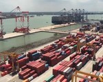 Vẫn còn tồn đọng hàng nghìn container phế liệu tại các cảng biển
