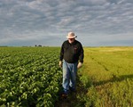 Ngành nông nghiệp Mỹ 'ngấm đòn' trả đũa thương mại