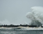 Nhật Bản cảnh báo cao nhất trước bão Hagibis
