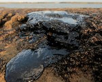 Brazil xác định nguồn gốc dầu loang gây ô nhiễm