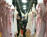Vẫn đảm bảo nguồn cung thịt lợn dịp cuối năm