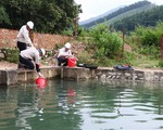 Khởi tố vụ án gây ô nhiễm nguồn nước sạch sông Đà cung cấp cho TP. Hà Nội