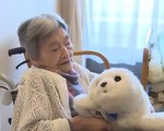 Hệ thống an sinh phục vụ dân số già hóa tại Nhật Bản