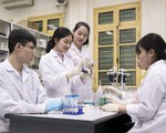 Hai trường đại học Việt Nam lần đầu vào bảng xếp hạng toàn cầu