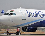 Hãng hàng không giá rẻ Ấn Độ đặt mua 300 máy bay của Airbus