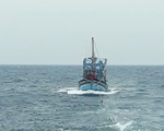 Cứu nạn thuyền viên tàu Thành Công 999 chìm trên vùng biển Hà Tĩnh