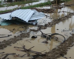 Quảng Nam: Hơn 65 nhà dân bị tốc mái do mưa lốc