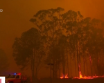 Australia nâng cảnh báo cháy rừng ở Sydney lên mức thảm họa