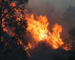 Cháy rừng tại Australia diễn biến phức tạp hơn