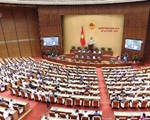 Kỳ họp thứ 8 Quốc hội khóa XIV: Cần quan tâm đến chất lượng đại biểu