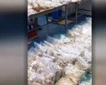 Australia và Hà Lan phá đường dây buôn lậu ma túy quy mô lớn