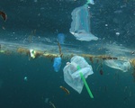 Canada: TP Vancouver cấm sử dụng ống hút nhựa và túi nylon từ năm 2020