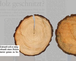 Phổ biến tình trạng buôn bán và sử dụng gỗ lậu tại châu Âu